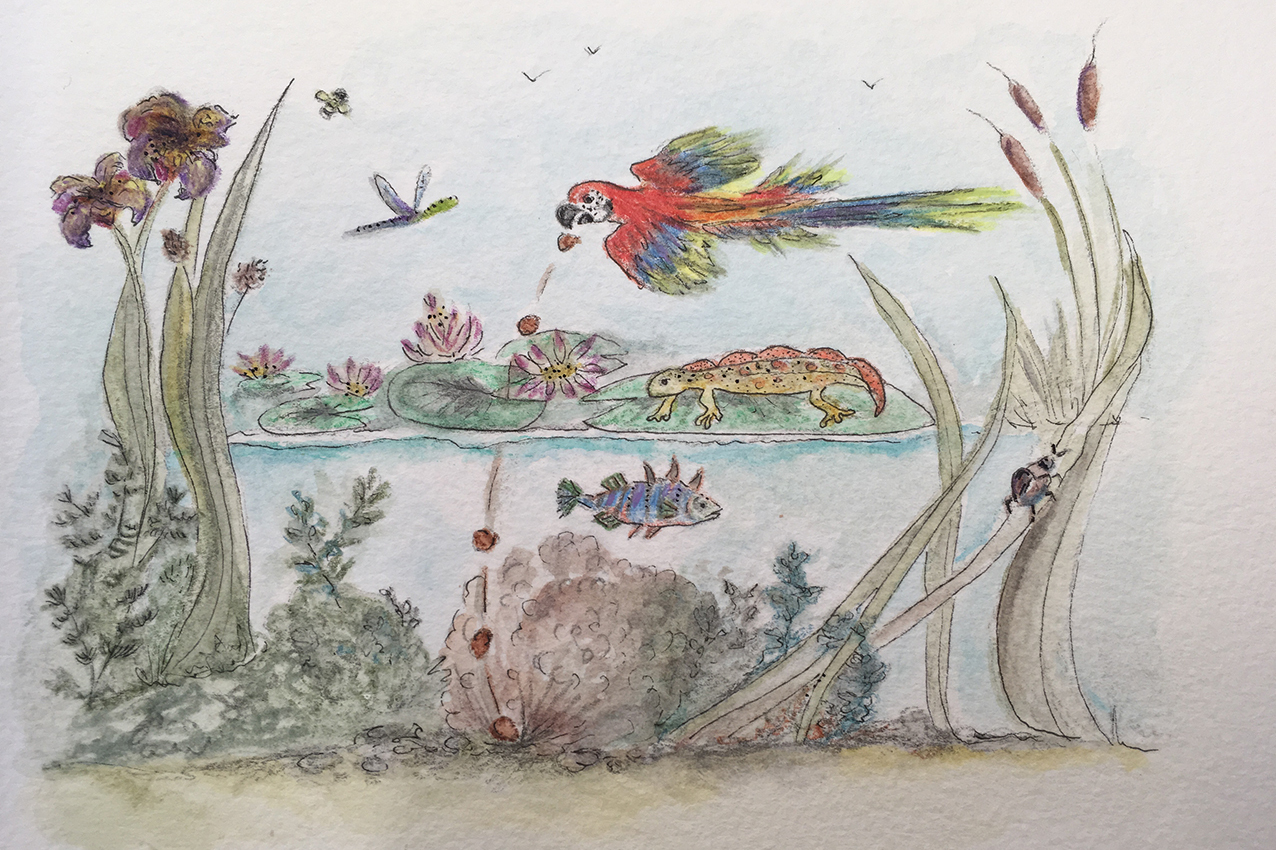 Parrot Character Illustration Attacking Lake
