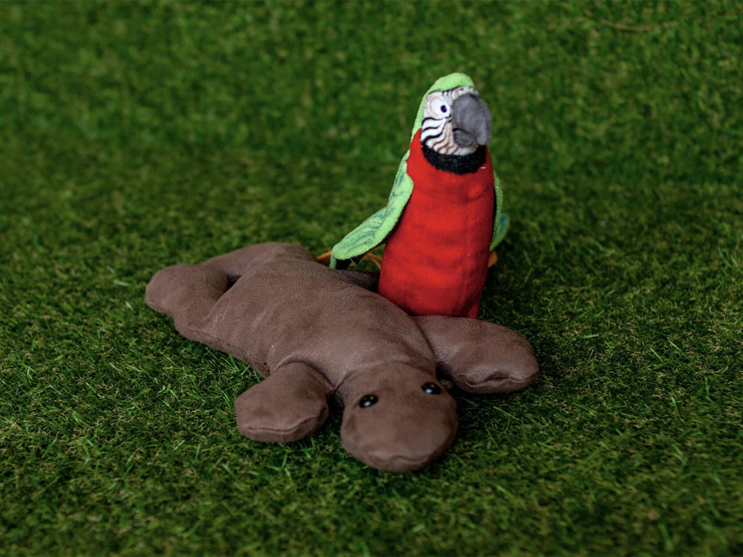 Positive Parrot and Negative Newt Soft Toys