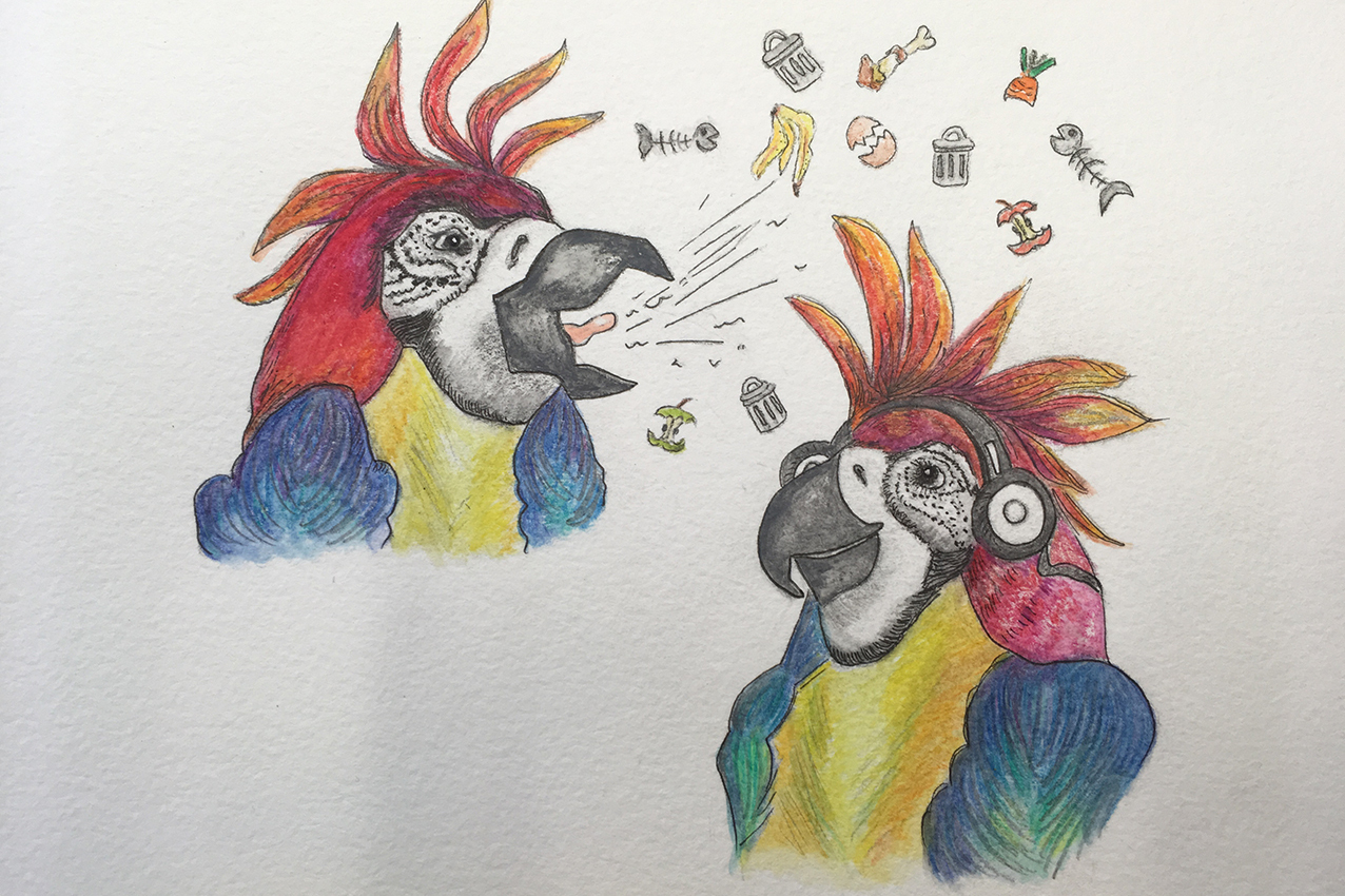 Parrot Character Illustrations Singing