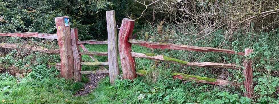 Wooden Fence and Gate in The Woods